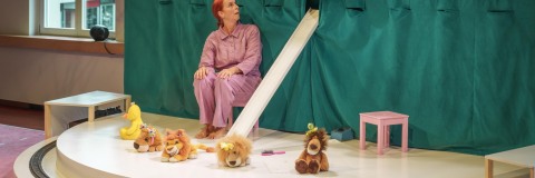 Kuscheltier-Safari– Gustavs Schwestern © 2023 Ingo Hoehn